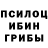 Псилоцибиновые грибы Psilocybine cubensis Anna Karapenkova
