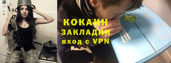 прущие грибы Арсеньев