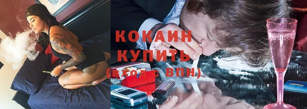 прущие грибы Арсеньев