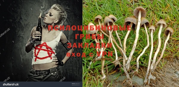прущая мука Аркадак