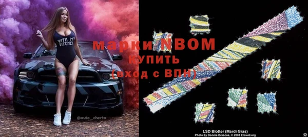 прущие грибы Арсеньев