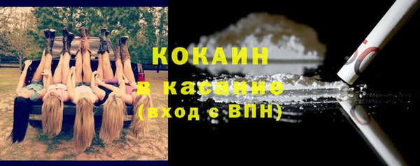 прущие грибы Арсеньев
